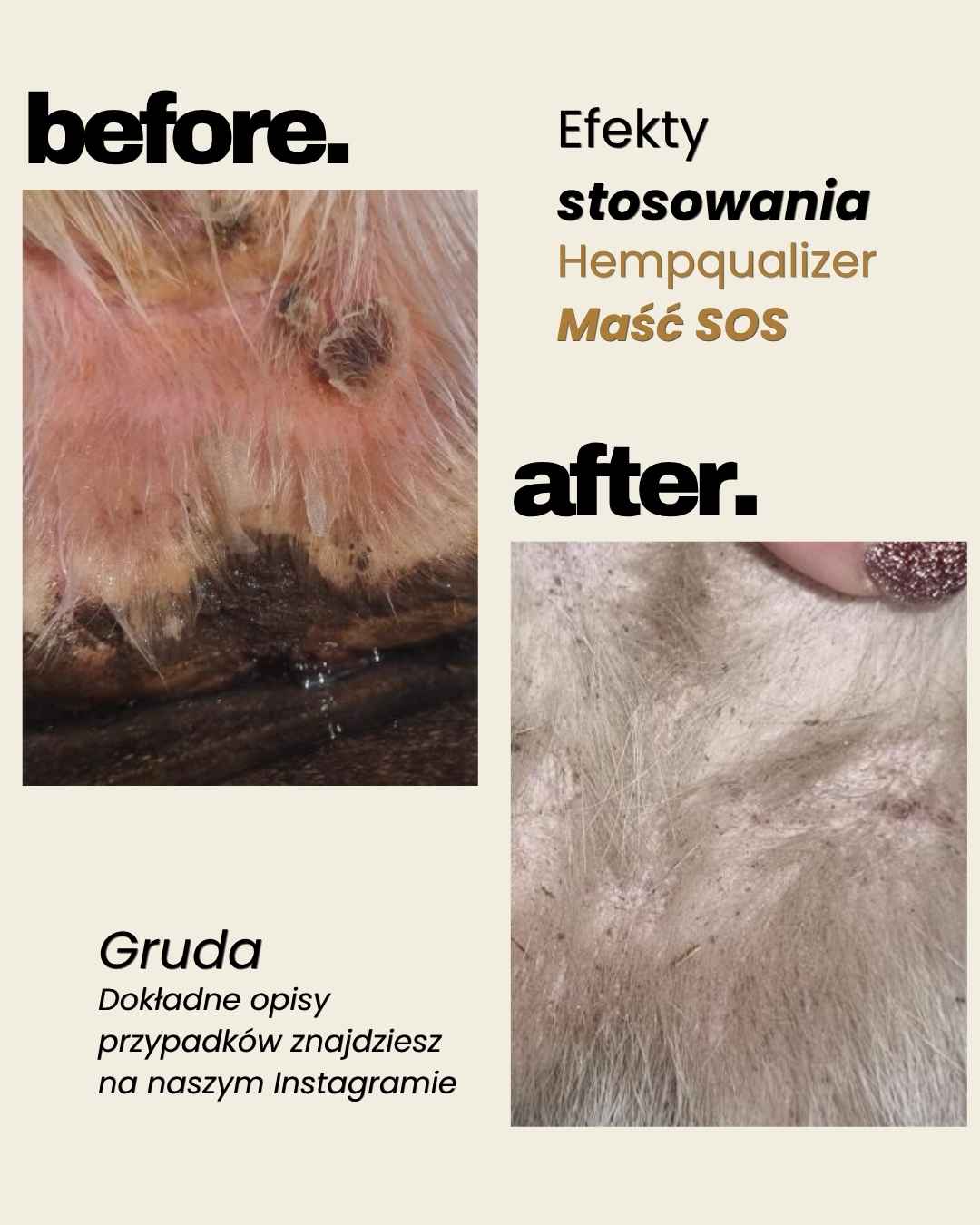 Immagine diapositiva