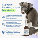 Probiotyk Microbiome Support
